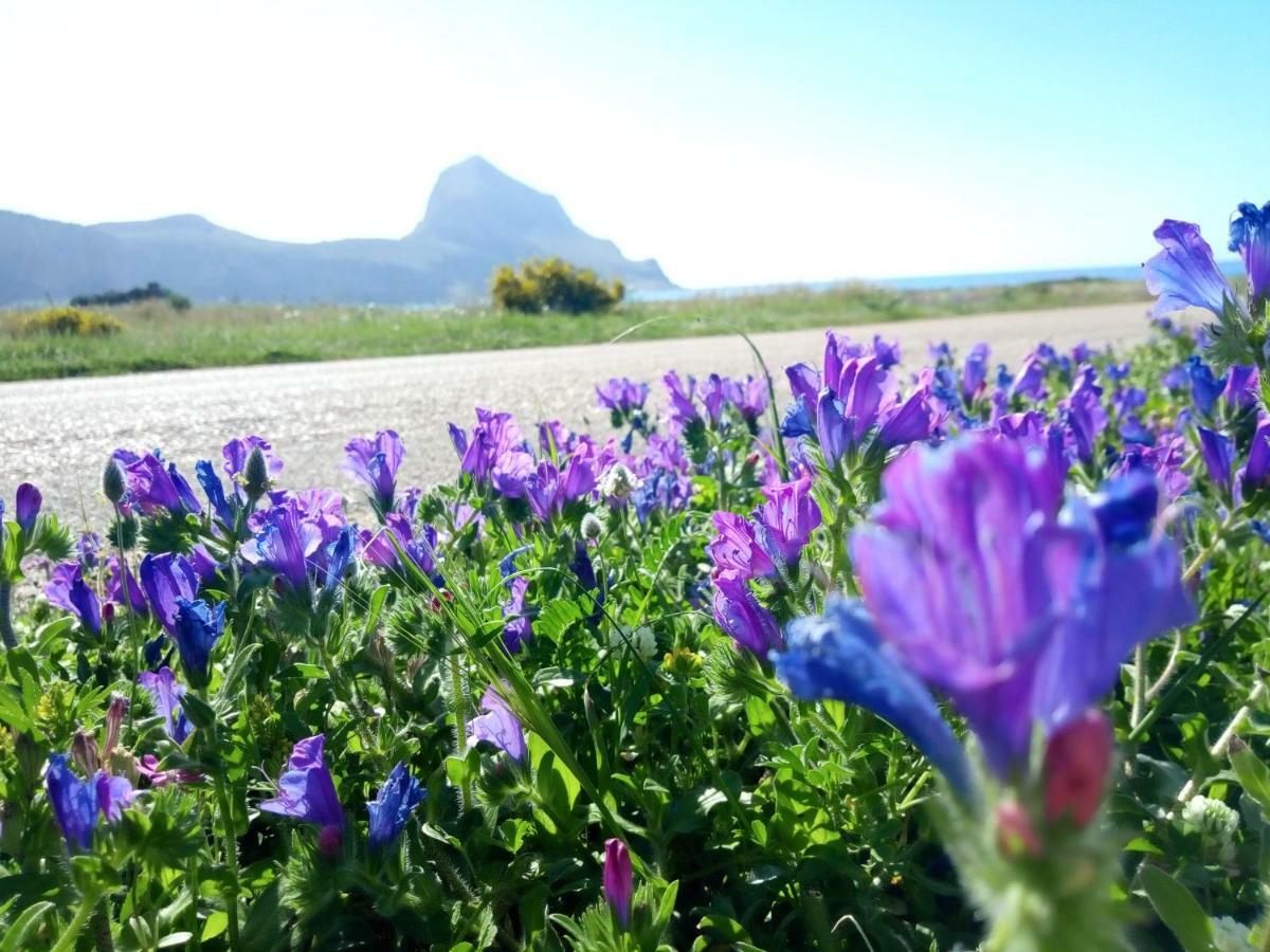 Karma B&B San Vito Lo Capo Bagian luar foto